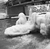 Cakes of Thick Ice Covers Timbers Along Creek's Edge